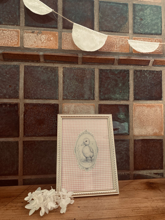 Cadre décoratif Célestine vichy rose tendre canard